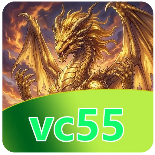 Troubleshooting vc55